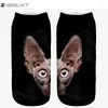 Femmes chaussettes ZHBSLWT impression 3D Animal Sphynx chat Calcetines décontracté mignon personnage coupe basse cheville plusieurs couleurs Harajuku