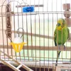 Outros suprimentos de pássaros 5 pcs alimentador papagaio cesta de alimentação suporte de ovo gaiola vegetal plástico forrageamento