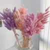 Decoratieve bloemen Real Nature Rabbit Tail Grass Pamaps Gedroogde bloem gemengd boeket kleurrijke lagurus ovatus voor boho po props