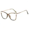 Sunglasses Frames 8029 Cat Eye Spring Hinge Computer Pochromic Glasses Optical Frame Retro Eyeglasses