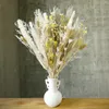 Flores decorativas 30 peças grama de pampas boho buquê seco decoração de casa flores sechees decoração de casamento de natal arranjo de flores