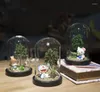 Bouteilles 20pcs Mini table affichage verre dôme cloche couverture décor fleurs sèches ornements artisanat à la main cloche pot base en bois maison