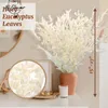 Dekorative Blumen Natur getrockneter erhaltener reichhaltiger Ruscus Blätter Hochzeitsfeier Blumendekoration Wirklich scharfe Blattpflanze Boho Wohnzimmer Dekor Dekor