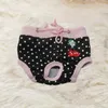 Cão vestuário 1 pc calças fisiológicas sanitárias bonito frutas impressão pet shorts fralda roupa interior feminina calcinha briefs 2024