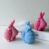 Ремесленные инструменты 3D Creative Candle Силиконовая плесень DIY Пасхальный кролик -яиц -ароматический гипсовый гипс -гипс форма