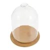 Vases Premium Diamond Shaped Glass Display Cover Bell Jar Container For Eternal Flower