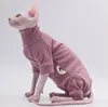 Hairless Cat Clothes Warm and Soft Four-Legged Hoodie for Sphynx Cats for Autumn and Winter for Devon Rex Cornish 240130
