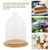 Vases Premium Diamond Shaped Glass Display Cover Bell Jar Container For Eternal Flower