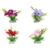 Kwiaty dekoracyjne 4 szt. Plant sushi dekoracja kwiat el zapasy dania dekorenty rośliny talerzy ozdoby na żywo sukulenty