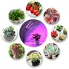 Grow Lights USB 5V LED -ljus Phyto Lamp Full Spectrum fitolampy med kontroll för växter plantor Flower inomhus fitolamplåda