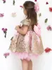 Girl Dresses Princess Lace Flower Dress For Wedding Tulle Puffy Embroidery Kids Christmas Birthday Party Beauty Pageant Ball Gown