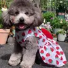 Dog Apparel Female Dress Pet Floral Skirt Princess Style Clothing Polyster Sweet Clothes For Small Dogs Puppy Costumes