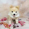 犬のアパレルペットの服冬の綿のコートは暖かくて柔らかく猫のために柔らかくなりました犬ラック