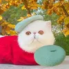 Dog Apparel 1PC Solid Color Pet Hat Painter Wool Cap Cat Caps Beret Mini Decorative Po Headwear Memorial Christmas Perro Sombrero