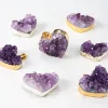 Natural Amethyst Cluster Crystal Pendant Love Gift Chakra Healing Reiki Mineral Quartz Energy Rough Stone Necklace with leather tt0205