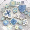 Dekorative Blumen 1,3–4 cm/echte natürliche getrocknete gepresste Pfauenhortensienblütenblätter in Blau zum Selbermachen für Epoxidharz-Schmuck-Telefonhülle