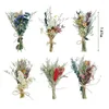 Dekorativa blommor 6pack torkade buketter Mini Flower Natural Material Växtglasstammar Babysbreat Po Props