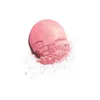 Blush 2022 New B Girl Face Beauty Cosmetics Long Lasting Natural Harmonie De Harmony 0.38Oz Net Weight 11G With Brush And 6 Color Drop Ot2Rj