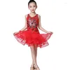 Stage Wear Enfants Fille Robes de danse Paillettes Mesh Fluffy Costumes de danse pour enfants Kid Latin Modern Performance Vêtements