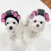 Abbigliamento per cani Cappello per animali domestici Facile da organizzare un adorabile coppia di gatti, una festa leggera morbida per il divertimento incrociato di divertimento carino cartone animato
