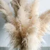 80-120 cm Pampasgras, extra groß, natürlich, weiß, grau, getrockneter Blumenstrauß, flauschig, für Zuhause, Boho-Dekor, Hochzeit, Blumendekoration 240202