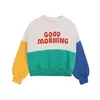 INS Korean Childrens Autumn Winter Clothes for Girls Boys Babi Sweaters Kids Sweatshirts Long Sleeve O-neck Cute Tops 240119