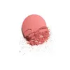 Blush 2022 New B Girl Face Beauty Cosmetics Long Lasting Natural Harmonie De Harmony 0.38Oz Net Weight 11G With Brush And 6 Color Drop Ot2Rj
