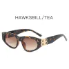 With Box Ba Len Caigaly Designer Bb Man Women Cat Eye Sunglasses Unisex Designer Goggle Beach Sun Glasses Retro Frame Design Uv400 Bb Glasses 575