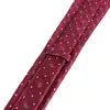 Bow Ties 남자의 클래식 스트라이프 Jacquard Woven Wine Color Neck Tie 형식 파티 정장 정장 웨딩 페이즐리