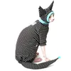 Vêtements à quatre pattes pour pull Sphynx Vêtements pour chat Sphinx Costume Devon Rex Automne Hiver Tenues de chaton Vêtements pour chat sans poils 240130