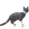 Vêtements à quatre pattes pour pull Sphynx Vêtements pour chat Sphinx Costume Devon Rex Automne Hiver Tenues de chaton Vêtements pour chat sans poils 240130