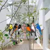 Party Favor Acrylic Stained Bird Panel Glass Window Hanging Wall Decoration Mini Home Ornaments Parrot Birds Art Pendant Mother's Day Gifts