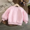 Girls Sweatshirt Lace Flower Sweater For Kids Spring Autumn Embroidery Baby Tops Childrens Clothes Korean Style 240131