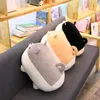 P DollsかわいいCorgll Shiba Pillow Soft Dog Toy Slee女性中国のバレンタインギフトドロップ配達otwpf