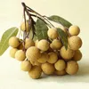 Decorazione per feste Vetrina di giocattoli Longan Prop Frutta finta Simulazione di decorazioni in miniatura Modello decorativo in plastica