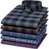 Men's Plaid randig standard-passning Långärmad flanelltröjor Bekväma mjuka borstade 100% bomull tjock casual gingham toppar skjorta 240123