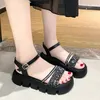 Geklede schoenen Sandalen Dames Zomer 2024 Joker Platte Zee Romeinse Slippers Mode Casual Tide