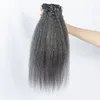 Salt and pepper silver grey kinki straight hair bundles coarse yaki kinky curly straight weft weave bundles human hair 100g/pack for braiding