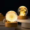 Luminous 3D Dandelion Crystal Ball Beech Wood Stand Base Preserved Flower Sphere Ball Desktop Ornaments Bithday Christmas Gifts 240119