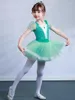 Scene Wear Green Dancer Dress Kids Girls Mesh Tutu Ballet Dance Costume Open Crotch Gymnastics Leotard Ballerina Dancewear