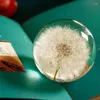 Decorative Figurines Dandelion Feng Christmas Shui Plants Love Gift Lens Flowers Specimen Resin Home Ball Glass Crystal Natural