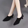 Kleidschuhe High Heel Damen 2024 Frühling Herbst Spitze Zehe Wildleder Schwarze Pumps 3/5 cm Elegante weiche Leder Lades Tacones