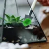 Decoratieve bloemen 5 zakken kunstmosplant decor handwerk voor terrarium ambachten nep rendier