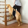 Écharpe Portable pour chien, harnais de soutien des hanches pour les jambes arrière, pour aider à soulever l'arrière pour l'aide canine, la rééducation du ligament croisé K9