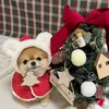 INS Christmas Pet Cloak Ears Hooded Bib Cape Warmth Maltese Year Dog Party Clothes Pet Coat Fashion Dog Design Dog Clothes 240130