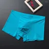 Underpants Breathable Mesh Silk Men's Boxer Four Corner Underwear Wholesale 2024 Men Cotton Mens Bodysuit