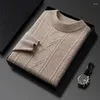 Männer Pullover Mode Gestreifte Kleidung Herren Winter Wolle Rollkragenpullover Männer Vintage Pullover Top Mann Kleidung Designer Strickpullover