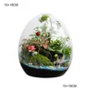 Vazen Creatieve Eivormige Glazen Flessen Succent Vaas Hydrocultuur Vlezige Micro Landschap Terrarium Mos Woondecoratie Drop Delivery G Otknd