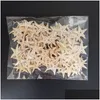 Nyhetsartiklar Havstorlek1.8-3cm 100st mini Starfish Craft Decoration Natural Stars Diy Beach Cottage Wedding Decor Crafts Drop Delive Dhmze