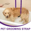 Köpek giyim 3 PCS PET TRAMING HAPT DUŞUN KORDU AKSERSİYELER Banyo tasma Döngü Halatları Yardımcı Masa Tedarik Güzellik